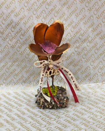 23  α  γουρι τουλιπα (1)